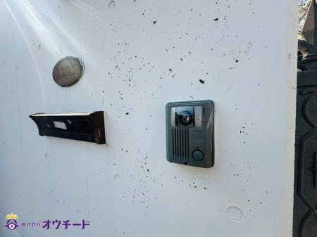 ̑ ݔ