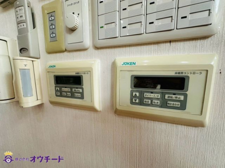 ̑ ݔ