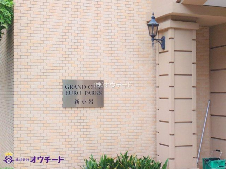 GgX Be(2025-05-19 00:00:00)