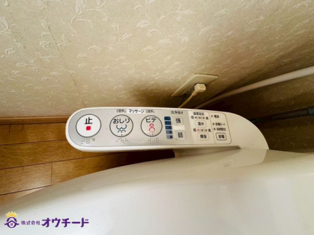̑ ݔ