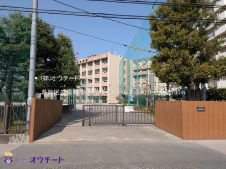 ӊ 旧wZ Be(2025-03-25) 780m