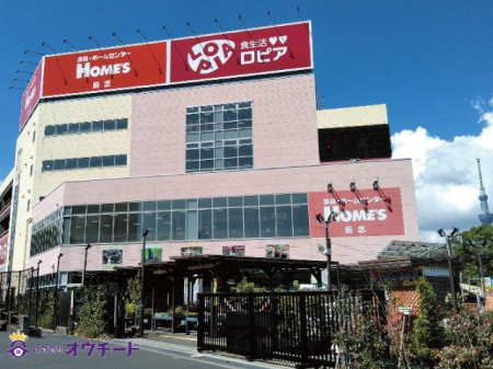 ӊ sA䓇z[YX k5B 380m