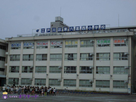 ӊ ]ː旧ZwZ k3B 230m